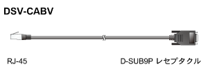 DSV-CABV RJ-45D-SUB9PX