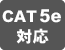 CAT5eΉ